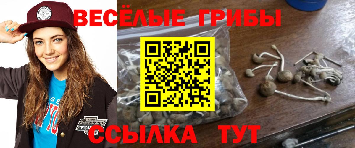 Северск  Псилоцибиновые грибы Psilocybine cubensis  Псилоцибиновые грибы Magic Shrooms  закладка  Вход с VPN 